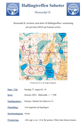 Hallingtreff 3 på Solseter